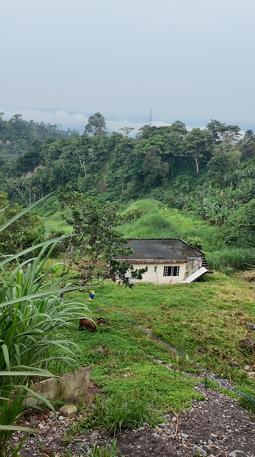 Sucúa - Arapicos (2.4 Hectareas MACAS - CUENCA)