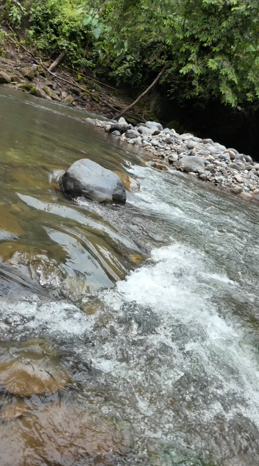 Sucúa - Arapicos (2.4 Hectareas MACAS - CUENCA)