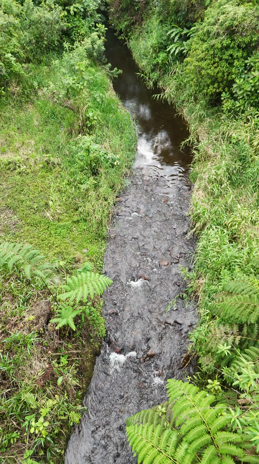 Palora 44 hectareas (Sector carmelo)