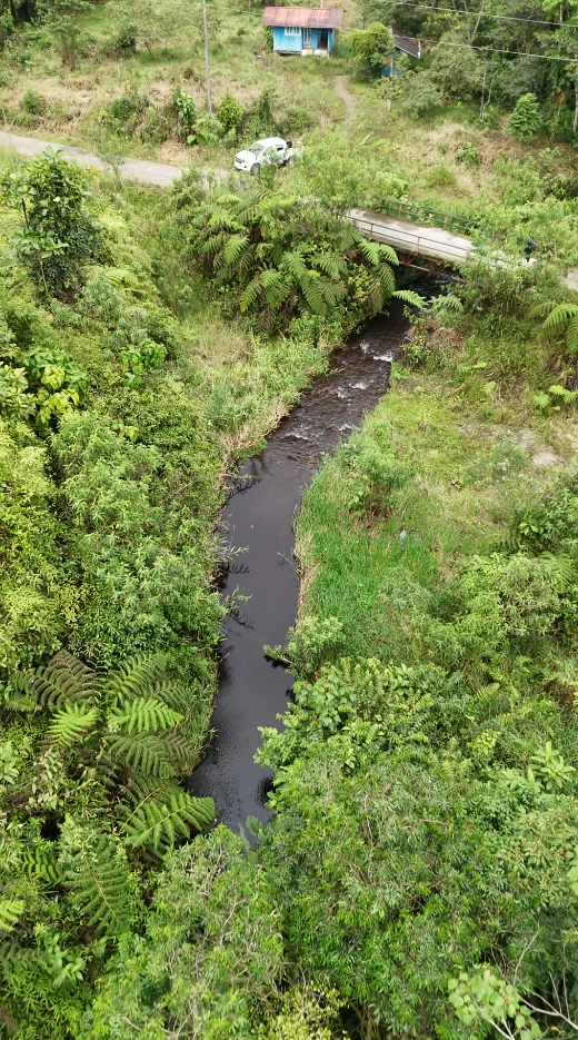 Palora 44 hectareas (Sector carmelo)