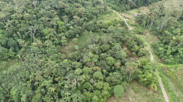 Palora 44 hectareas (Sector carmelo)