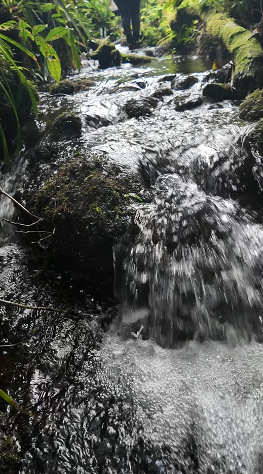 Palora 44 hectareas (Sector carmelo)