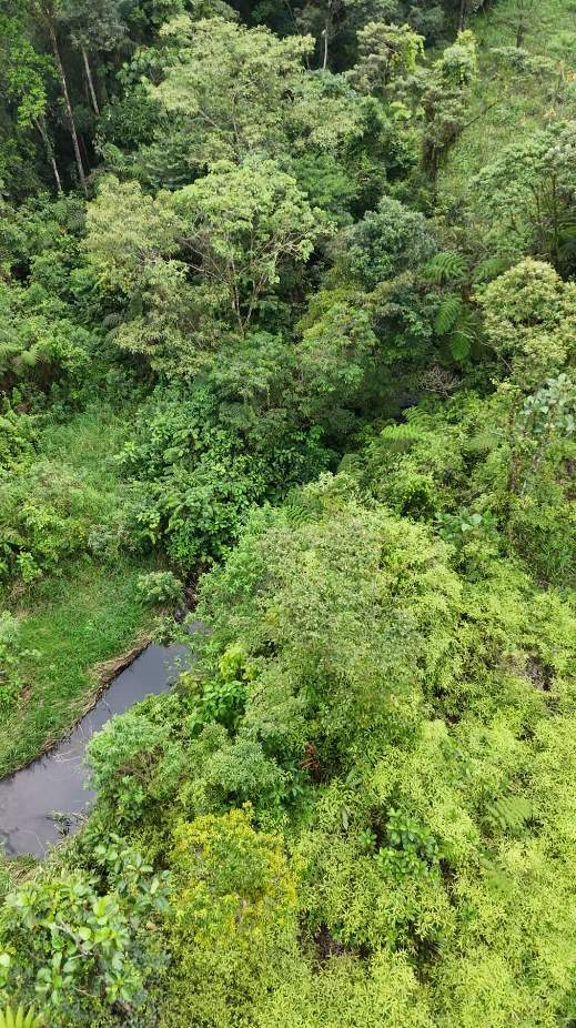 Palora 44 hectareas (Sector carmelo)