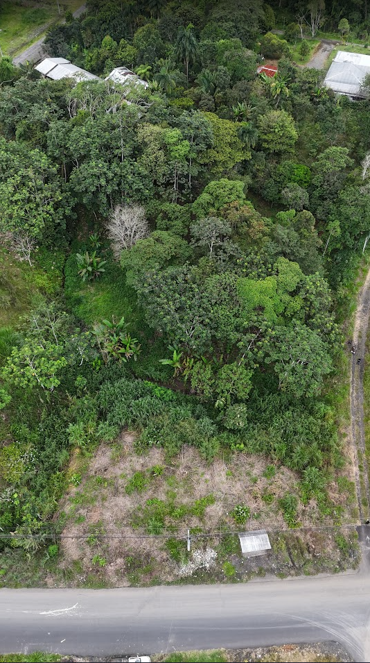 Proaño - Junto a la cancha sintética