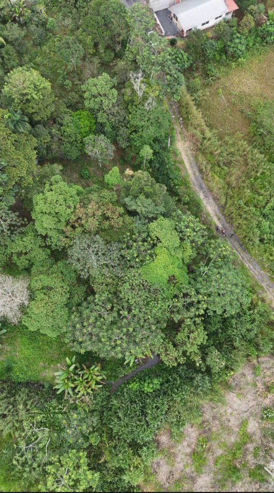 Proaño - Junto a la cancha sintética