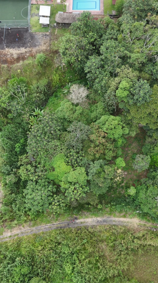 Proaño - Junto a la cancha sintética