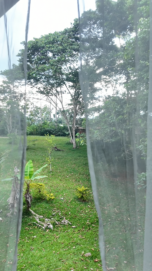 🏊‍♂️ En venta ''Quinta Lopez'' (5,000m²) COMERCIAL Y TURÍSTICO 🏠