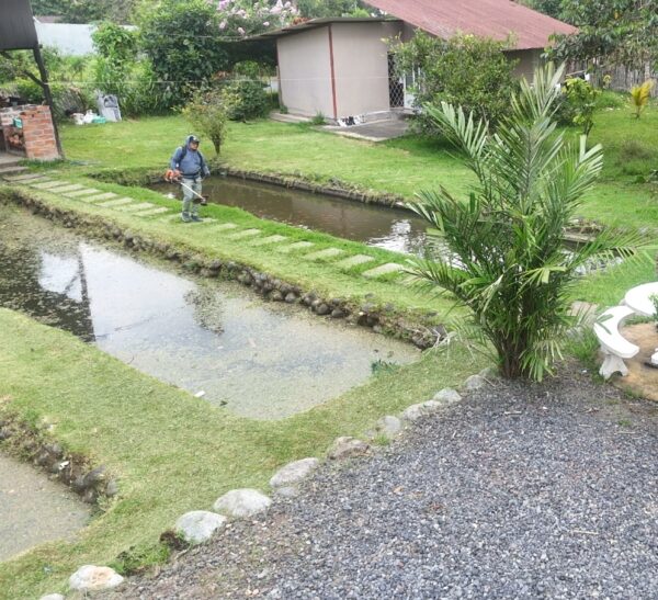 🏊‍♂️ En venta ''Quinta Lopez'' (5,000m²) COMERCIAL Y TURÍSTICO 🏠