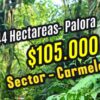 Palora 44 hectareas (Sector carmelo)