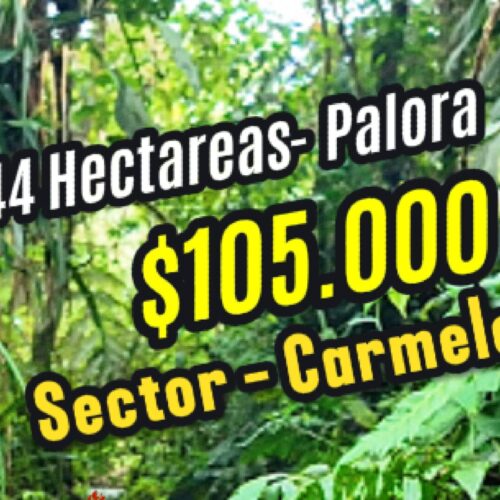 Palora 44 hectareas (Sector carmelo)