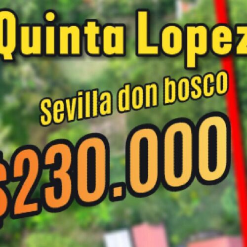 🏊‍♂️ En venta ''Quinta Lopez'' (5,000m²) COMERCIAL Y TURÍSTICO 🏠