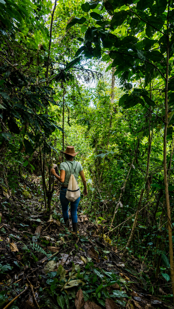 LA JOYA DE KACHIK TE ESPERA EN LA AMAZONÍA