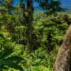 LA JOYA DE KACHIK TE ESPERA EN LA AMAZONÍA