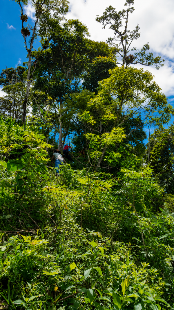 LA JOYA DE KACHIK TE ESPERA EN LA AMAZONÍA