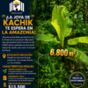 LA JOYA DE KACHIK TE ESPERA EN LA AMAZONÍA