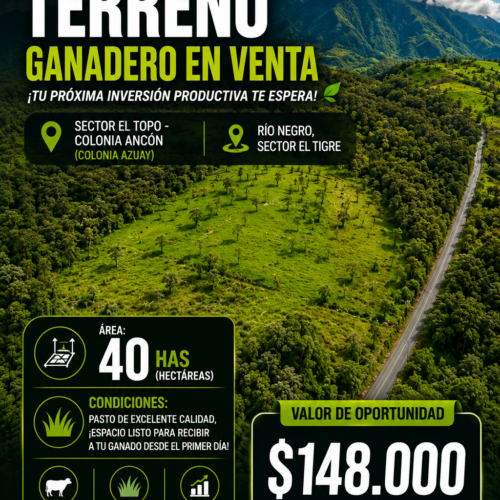 40 HECTÁREAS RÍO NEGRO - Sector El Tigre