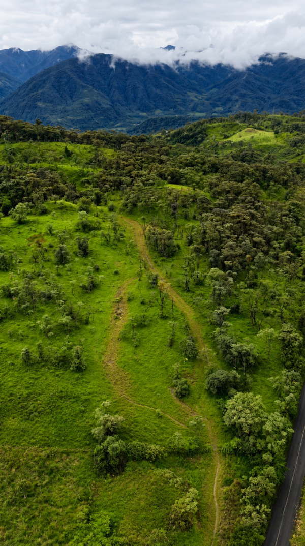 40 HECTÁREAS RÍO NEGRO - Sector El Tigre