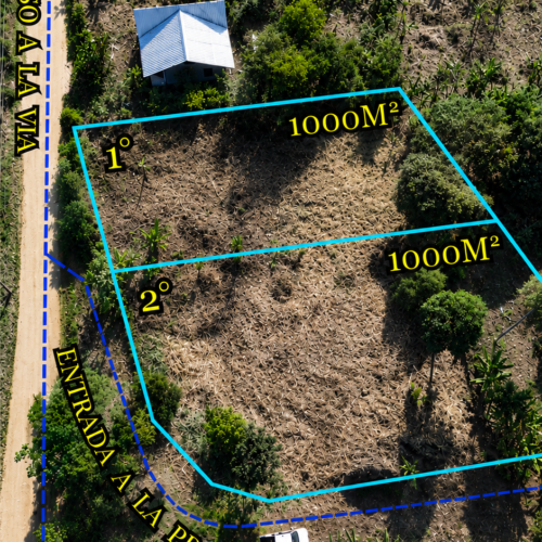 2 Lotes de Sucua 1000m2 Sevilla
