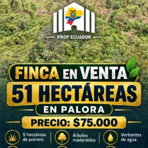 51 hectareas Palora